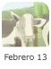 FEBRERO 13.