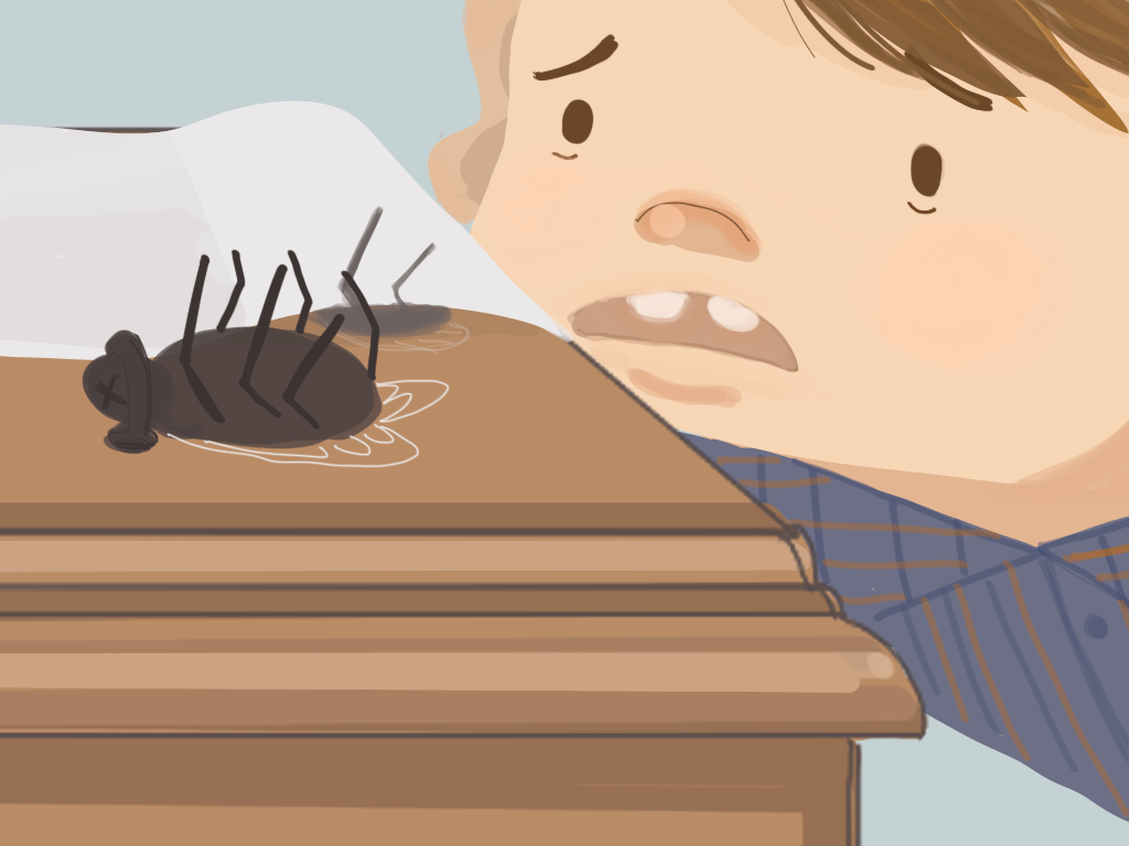 Papelucho mira de cerca a una mosca muerta