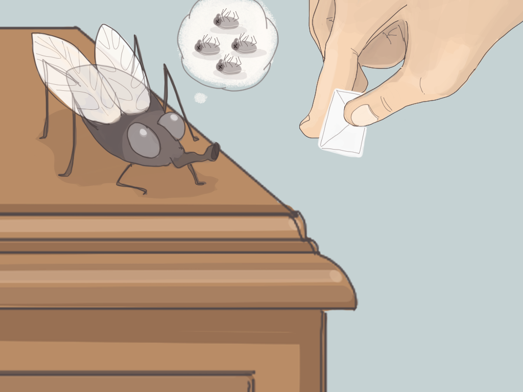 Papelucho le entrega una pequeña carta a una mosca.